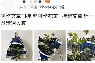 科尔调侃：迈尔斯选TJD是出色决定 噢他那时走了那是邓利维的选择